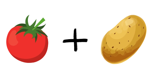 Ein klassisches Beispiel für sehr schlechte Mischkulturpartner sind Kartoffeln und Tomaten.