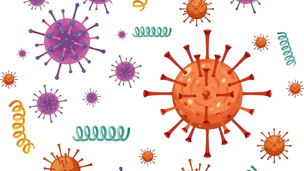Mikroorganismen im Boden sind winzige, aber äußerst wichtigen Lebewesen, die die Gesundheit und Fruchtbarkeit von Böden entscheidend beeinflussen. Obwohl sie mit bloßem Auge nicht sichtbar sind, übernehmen sie eine Vielzahl von Aufgaben, die den Boden lebendig und fruchtbar halten.