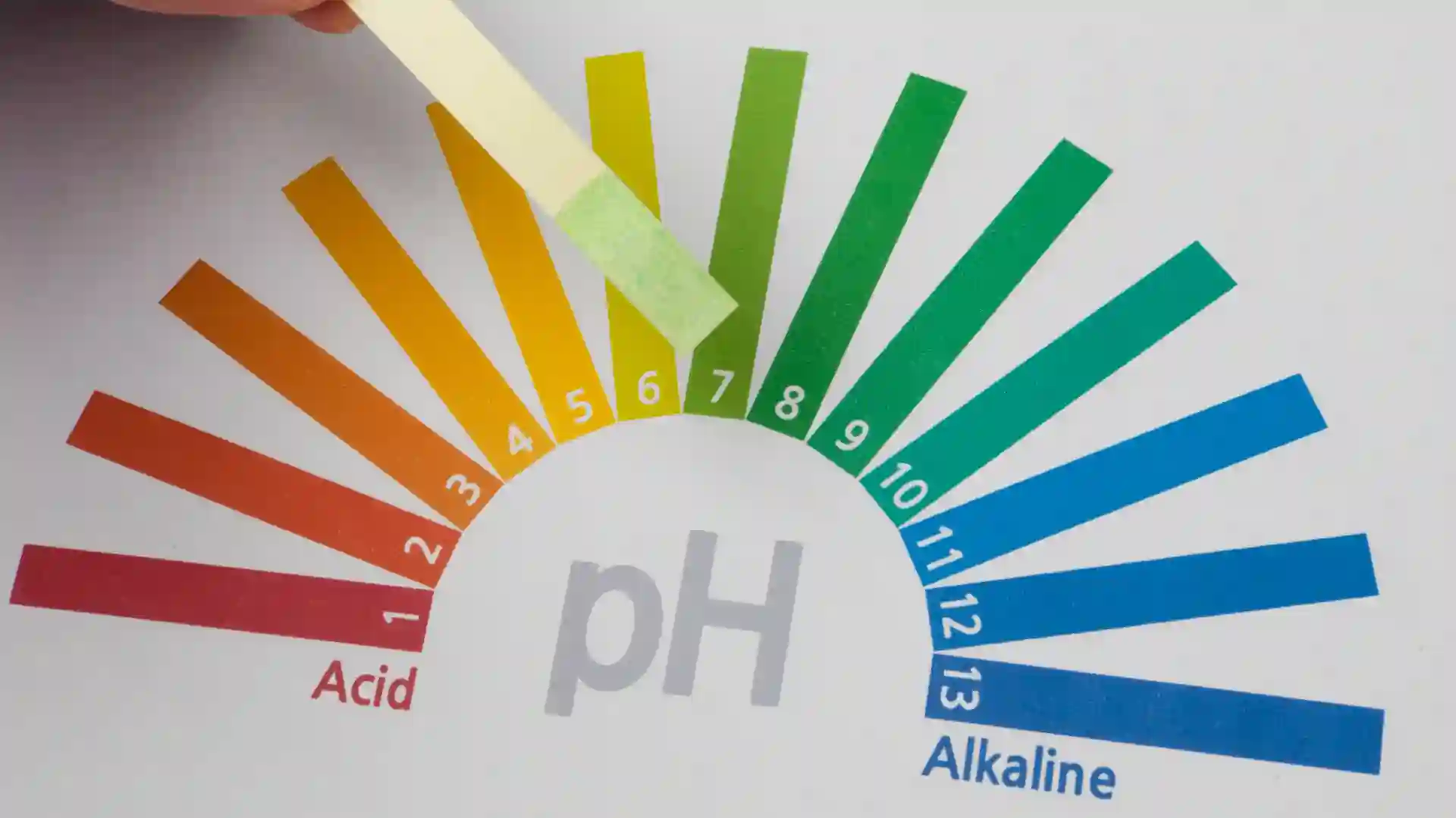 Der pH-Wert des Bodens beeinflusst die Nährstoffaufnahme deiner Pflanzen: Neutraler pH-Wert (6,0–7,0) ist ideal für die meisten Gemüsesorten. Tipp: Teste den pH-Wert mit einem Bodentestkit und passe ihn gegebenenfalls an: Zu sauer (pH < 6): Füge Kalk hinzu. Zu basisch (pH > 7): Arbeite saure organische Stoffe wie Nadeln oder Rindenhumus ein.